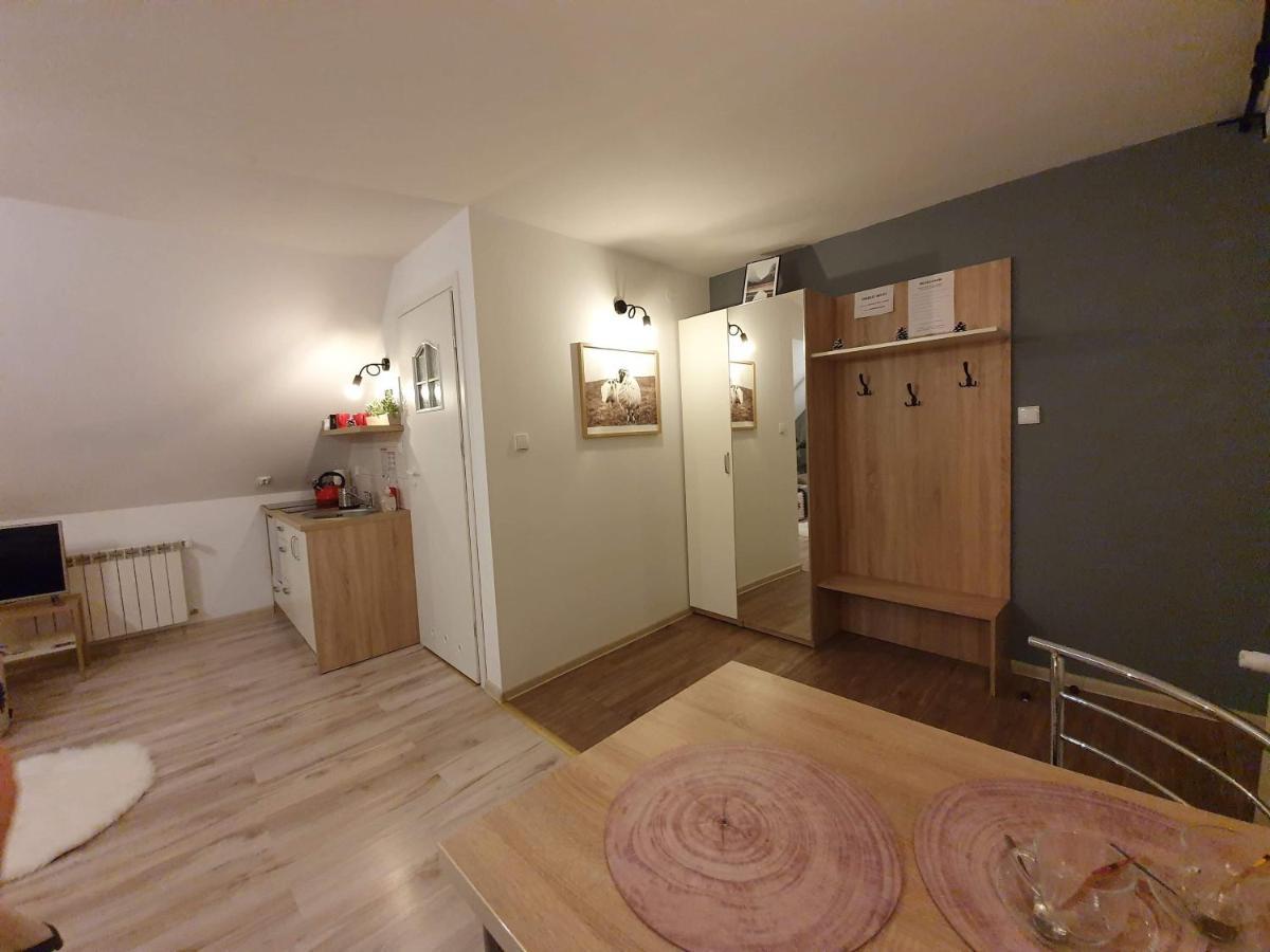 Apartament Jaskier Закопане Екстериор снимка
